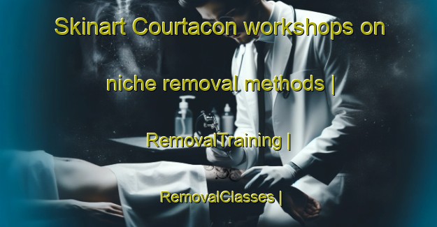 Skinart Courtacon workshops on niche removal methods | RemovalTraining | RemovalClasses | SkinartTraining-France